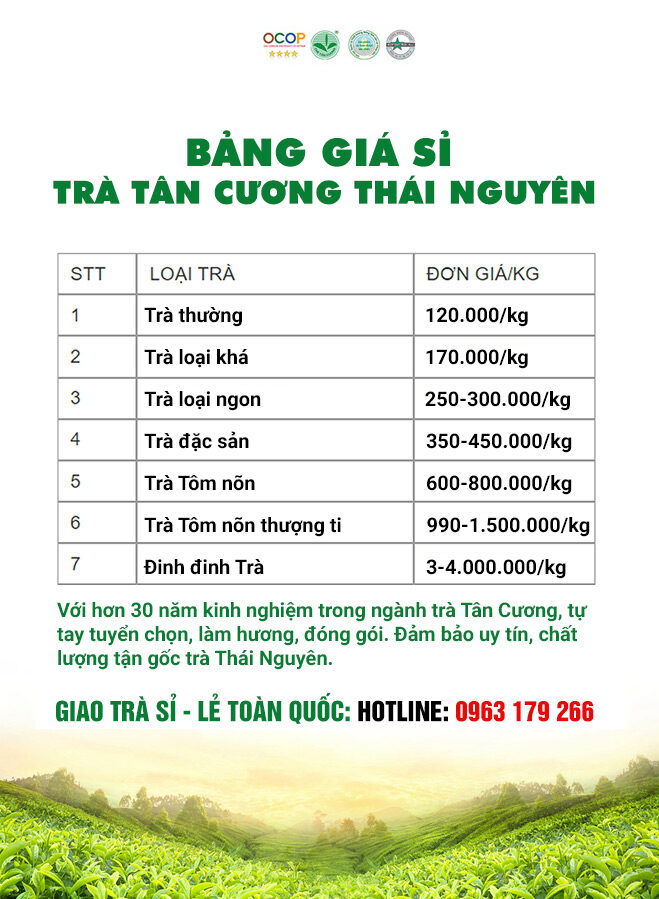 Mua Trà Thái Nguyên Ngon Ở Đâu TPHCM